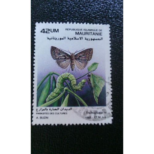 Timbre Mauritanie Yt 620 Fausse-Arpenteuse Du Chou (Trichoplusia Ni) 1988 ( 140512 )