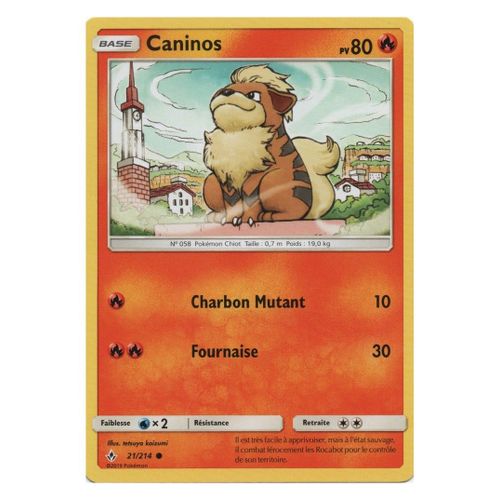 Caninos (Sl10-21/214)