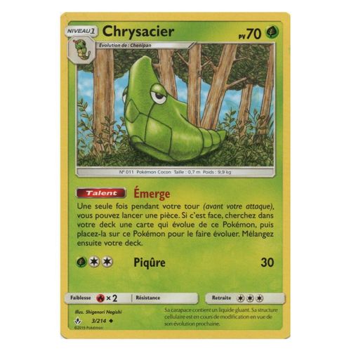 Chrysacier (Sl10-3/214)