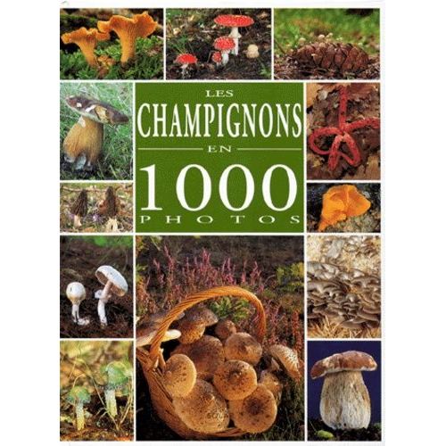 Les Champignons En 1000 Photos