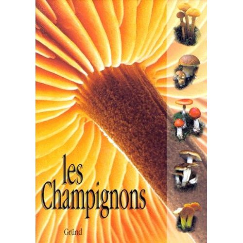 Les Champignons