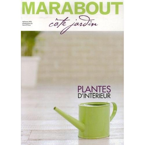 Spécial Plantes D'intérieur