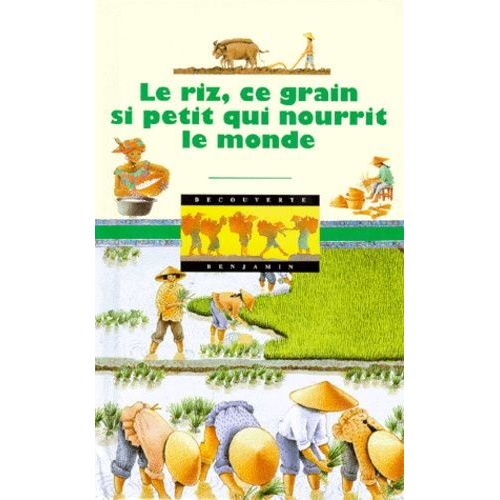 Le Riz, Ce Grain Si Petit Qui Nourrit Le Monde