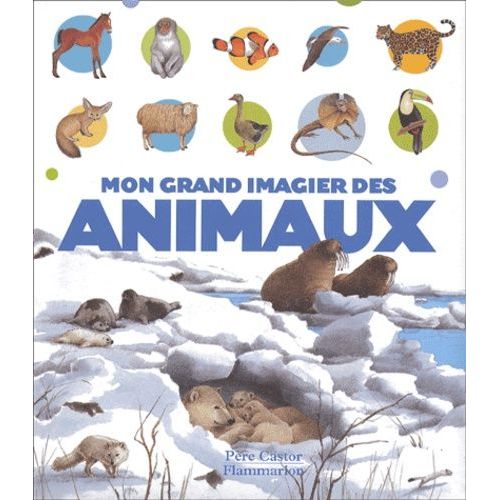 Mon Grand Imagier Des Animaux
