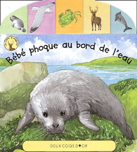 Bebe Phoque Au Bord De L Eau Enfant Jeunesse Rakuten