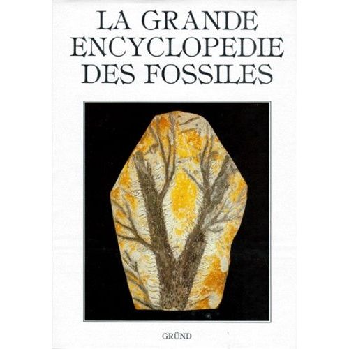 La Grande Encyclopédie Des Fossiles