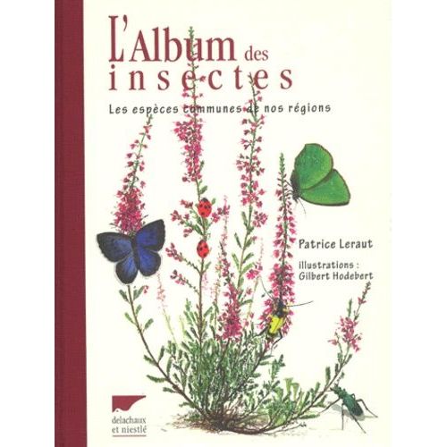 L'album Des Insectes - Les Espèces Communes De Nos Régions