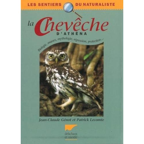 La Chevêche D'athéna