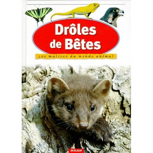 Droles De Betes - Les Malices Du Monde Animal