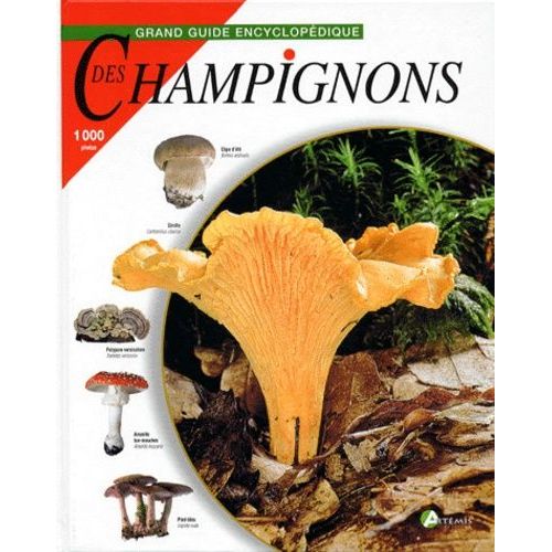 Champignons