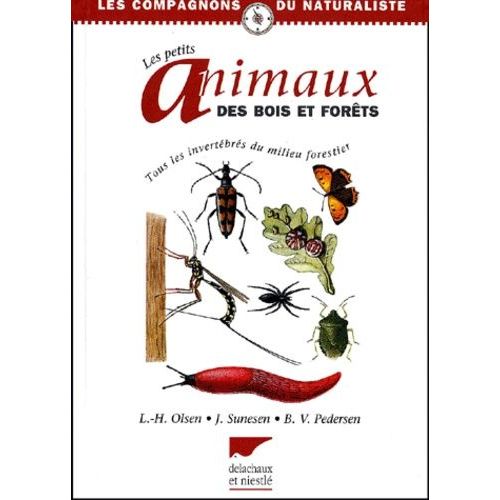 Les Petits Animaux Des Bois Et Forêts
