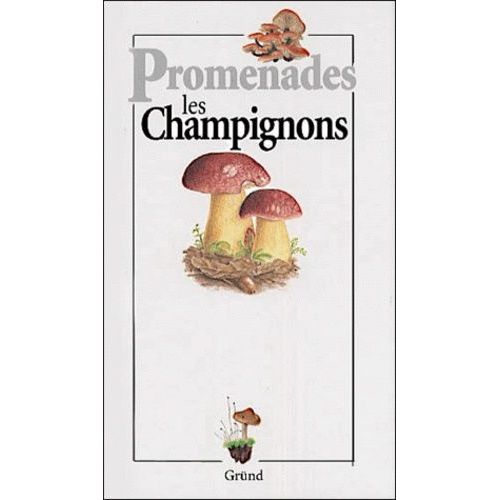 Les Champignons
