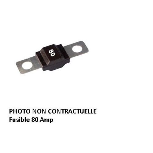 Telwin - Kit de 20 Fusibles 80A (pour Chargeur Démarreur Dynamic 420)