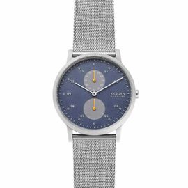 Montre Skagen En Maille Milanaise Grise