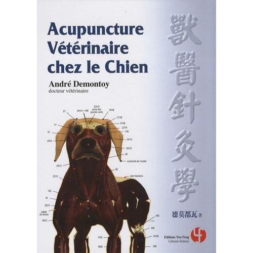 Acupuncture Vétérinaire Chez Le Chien