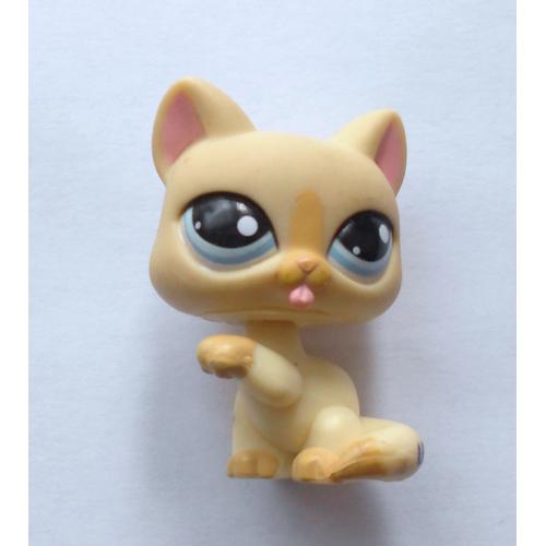 Petshop Chat Couleur Beige Assis 2008