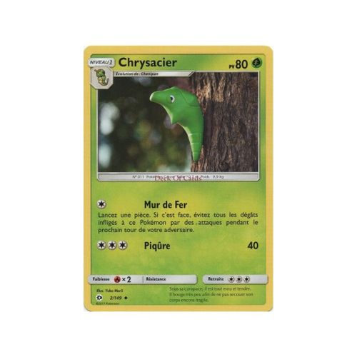 Chrysacier (Sl01-2/149)