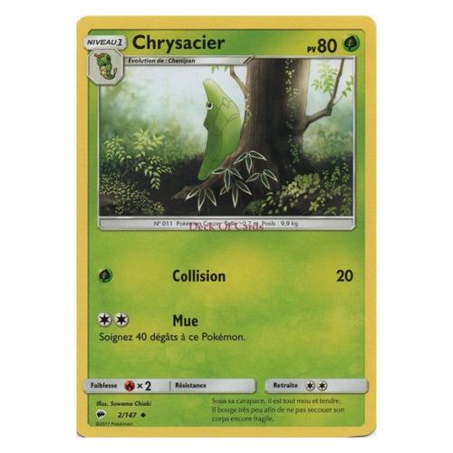 Chrysacier (Sl03-2/147)
