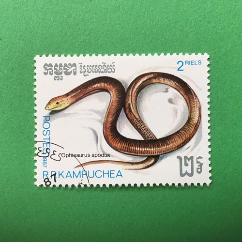 Cambodge - Reptiles - Ophisaurus Apodus (Y & T 756)
