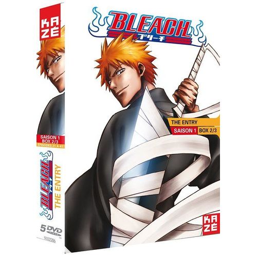 Bleach - Saison 1 : Box 2/3 : Soul Society : The Entry