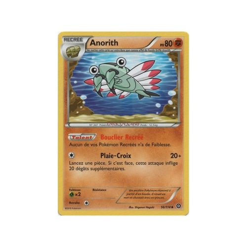 Anorith (Xy11-56/114)