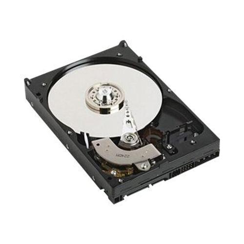 Dell - Disque dur - 1 To - interne - 3.5" - SATA 1.5Gb/s - 7200 tours/min - pour PowerEdge 1900, R210, R210 II, R220, T110, T110 II, T300, T310, T320, T410, T420, T605