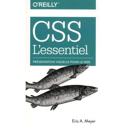 Css L'essentiel - Présentation Visuelle Pour Le Web