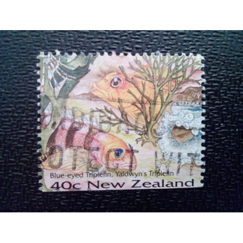 Timbre Nouvelle-Zélande Yt 1433 Triplefin Aux Yeux Bleus (Notoclinops Segmentatus), Yaldwyn's Tri 1996 ( 46122 )