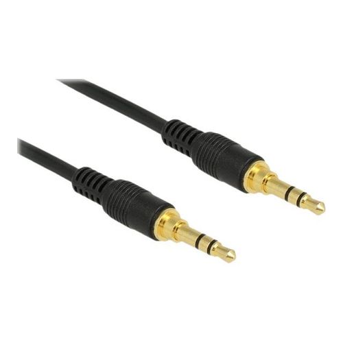Delock - Câble audio - mini-phone stereo 3.5 mm mâle pour mini-phone stereo 3.5 mm mâle - 1 m - noir