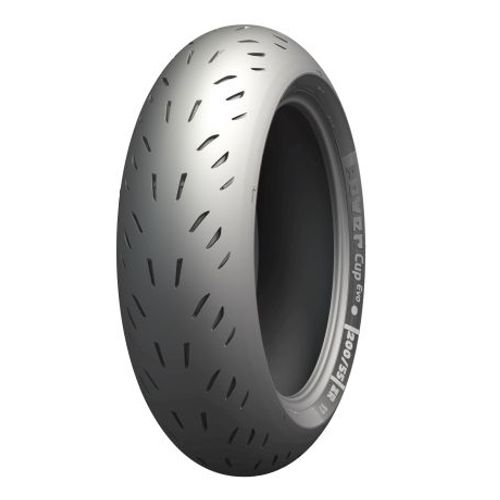 Pneu moto Michelin Power Cup Evo 160/60 ZR17 (69W) TL