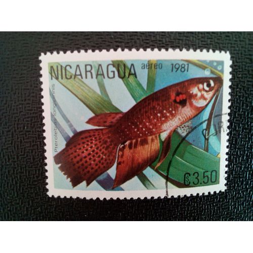 Timbre Nicaragua Yt Pa 965 A Killifish À Longues Nageoires (Pterolebias Longipinnis) 1981 ( 6612 )