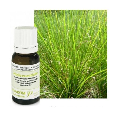 Vétiver - Huile Essentielle De Vetiveria Zizanoides 5 Ml - Pranarôm 