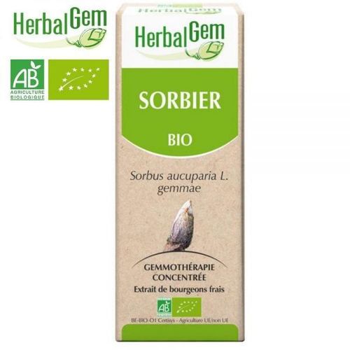 Sorbier Bourgeon Bio - Circulation Et Acouphènes 50 Ml - Herbalgem 