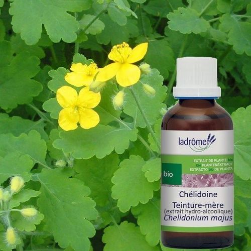 Chélidoine Bio - Verrues Teinture-Mère 50 Ml - Ladrôme 