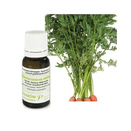 Carotte - Daucus Carota Var. Sativus 5 Ml - Pranarôm 