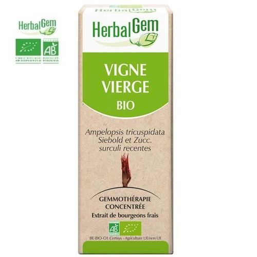 Vigne Vierge Bourgeon Bio - Articulations Et Tendons 50 Ml - Herbalgem 