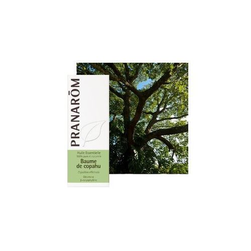 Baume De Copahu (Copaïba) - Huile Essentielle Copaifera Officinalis 10 Ml - Pranarôm 