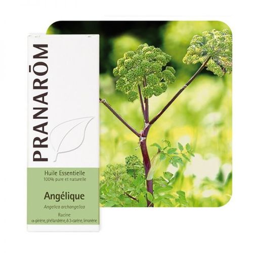 Angélique - Huile Essentielle D'angelica Archangelica 5 Ml - Pranarôm 