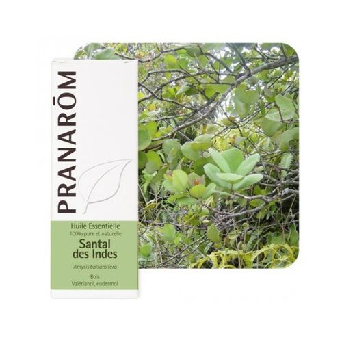 Santal Des Indes - Amyris Balsamifera 10 Ml - Pranarôm 