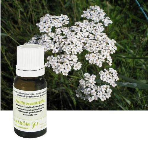 Achillée Millefeuille - Huile Essentielle D'achillea Millefolium 5 Ml - Pranarôm 