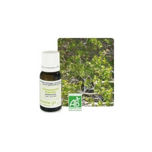 Mandravasarotra (Saro) Bio - Huile Essentielle Cinnamosma Fragrans 10 Ml - Pranarôm 