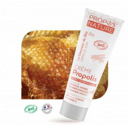 Crème À La Propolis Bio - Cicatrisation Et Réparation 100 Ml - Propos Nature 