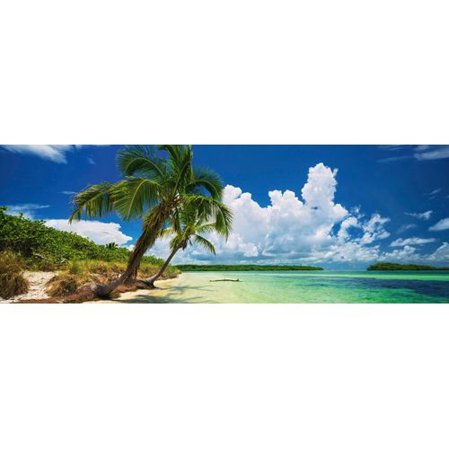 Puzzle 2000 Pièces Paul Marcellini - Paradise Palms