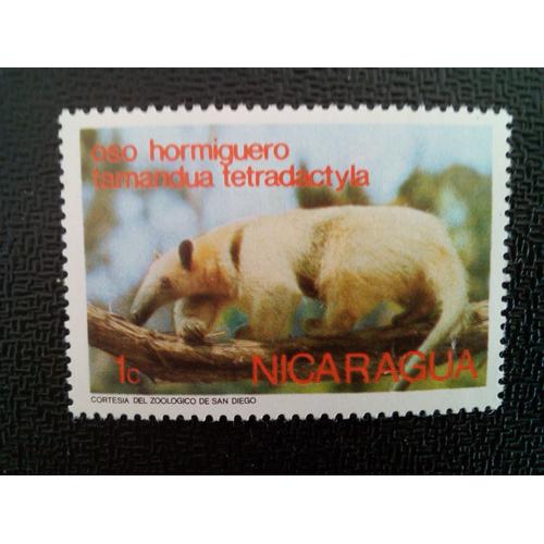 Timbre Nicaragua Yt 975 Tamandua Du Sud (Tamandua Tetradactyla) 1974 ( 6612 )