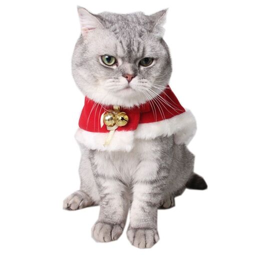 Mode Cat Vetements Pour Animaux Domestiques Cape De Noel Pour Animaux Tenues Petit Manteau De Chat Costume Appareldzv6062 Rakuten