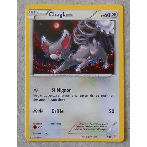 Chaglam 1/30 -Trainer Kit - Pikachu Catcheur 2016 - Vf