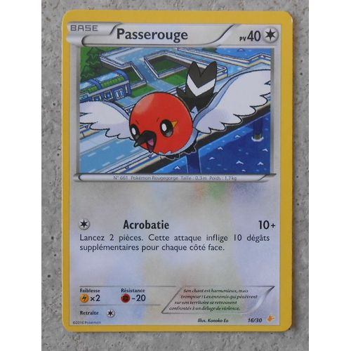 Passerouge 16/30 -Trainer Kit - Pikachu Catcheur 2016 - Vf