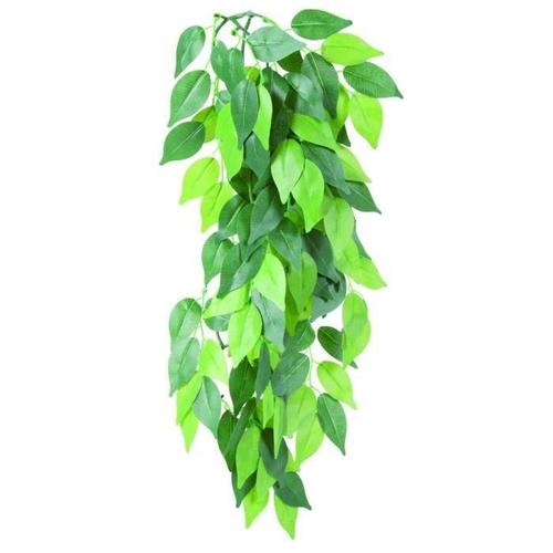 Plante En Soie Ficus 20 X 30 Cm Pour Reptile
