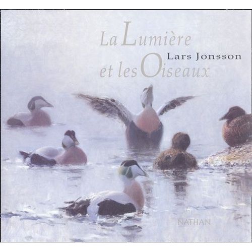 La Lumière Et Les Oiseaux