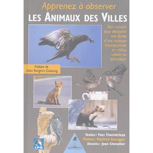 Apprenez À Observer Les Animaux Des Villes